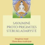 Tenzinas Vangjalas Rinpočė „Savaiminė proto prigimties stebukladarystė”